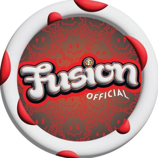 Fusion Mushroom Chocolate Bars
